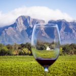 Wine tasting during the Victoria Falls tour with Ingwe Safaris